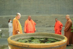 IMG_0701